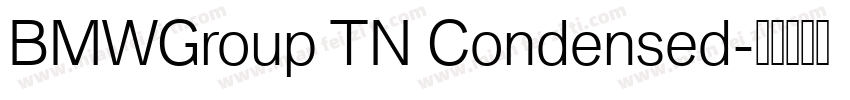 BMWGroup TN Condensed字体转换